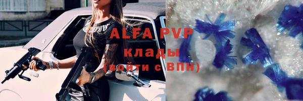 сатива Нягань
