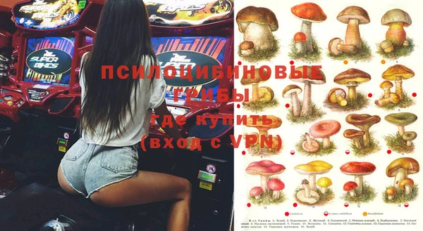 сатива Нягань