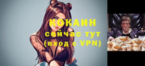 прущая мука Няндома