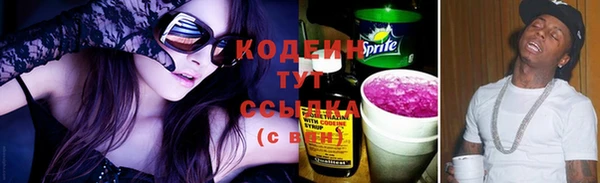 сатива Нягань