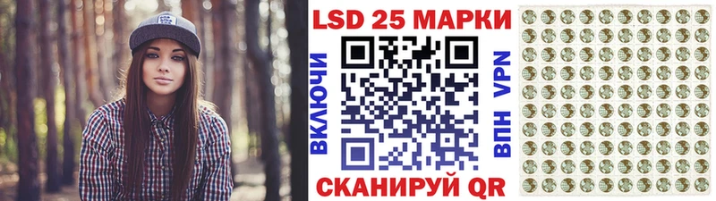 дарк нет наркотические препараты  Чкаловск  Марки N-bome 1500мкг  где можно купить наркотик 