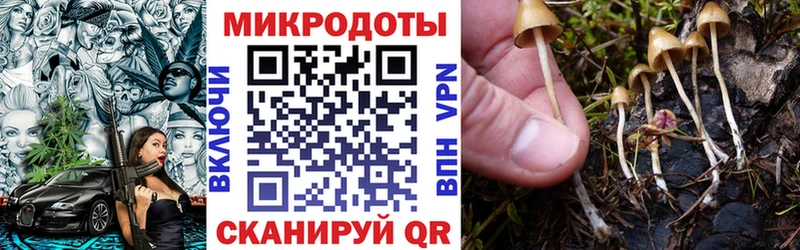 Псилоцибиновые грибы ЛСД  darknet как зайти  Чкаловск  где найти наркотики 